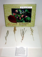 Гербарий Культурные растения (28 видов) - «globural.ru» - Мытищи