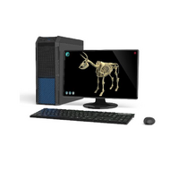 Макет масштабный «Скелет Коровы» Масштаб 1:2 - «globural.ru» - Мытищи