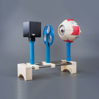 Модель демонстрационная "Зрение" (электрическая) - «globural.ru» - Мытищи