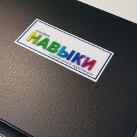 Навыки социальной адаптации. Развивающие пособие на липучках  - «globural.ru» - Мытищи