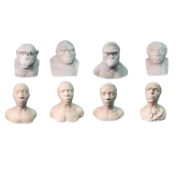 Набор палеонтологических муляжей - «globural.ru» - Мытищи