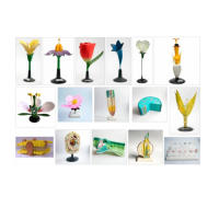 Комплект ботанических моделей демонстрационный - «globural.ru» - Мытищи