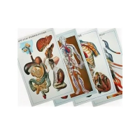 Таблицы рельефные - «globural.ru» - Мытищи