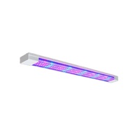 Фитолампа - «globural.ru» - Мытищи