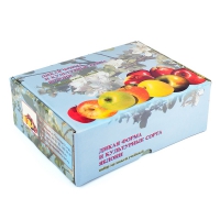 Набор муляжей "Дикая форма и культурные сорта яблок" - «globural.ru» - Мытищи