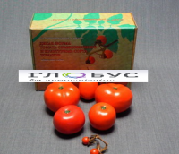 Муляжи Дикая форма и культурные сорта томатов - «globural.ru» - Мытищи