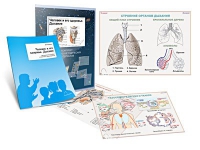 Комплект транспарантов «Человек и его здоровье. Дыхание» - «globural.ru» - Мытищи