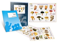 Комплект транспарантов «Грибы» - «globural.ru» - Мытищи