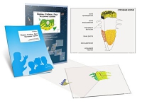 Комплект транспарантов «Корень. Стебель. Лист (Внутреннее строение)» - «globural.ru» - Мытищи