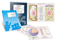 Комплект транспарантов «Цитология» - «globural.ru» - Мытищи