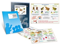 Комплект транспарантов «Ядовитые и жалящие животные» - «globural.ru» - Мытищи