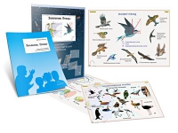 Комплект транспарантов «Зоология. Птицы» - «globural.ru» - Мытищи