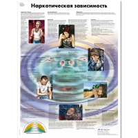 Плакат "Наркотическая зависимость", ламинированный, 50*67 см - «globural.ru» - Мытищи