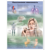 Плакат "Никотиновая зависимость", ламинированный, 50*67 см - «globural.ru» - Мытищи