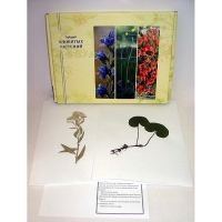 Гербарий ядовитых растений (20 видов) - «globural.ru» - Мытищи