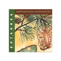 Ботаника. Микрофотографии. (Цифровая база изображений) - «globural.ru» - Мытищи