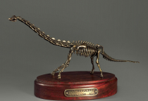 Модель скелета динозавра Brachiosaurus - «globural.ru» - Мытищи