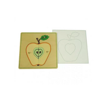 Части яблока с контуром - «globural.ru» - Мытищи