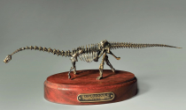 Модель скелета динозавра Diplodocus  (вариант 2) - «globural.ru» - Мытищи