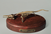 Модель скелета ихтиозавра Ichthyosaurus - «globural.ru» - Мытищи