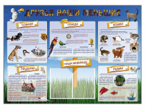 Стенд-уголок "Друзья наши меньшие" - «globural.ru» - Мытищи