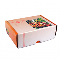 Набор муляжей грибов 7 видов - «globural.ru» - Мытищи