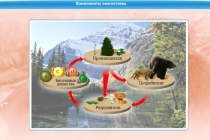 Интерактивные курсы. Биология 7 класс. Базовый - «globural.ru» - Мытищи