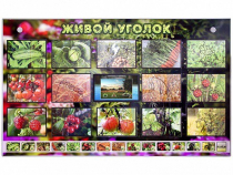 Комплект оборудования "Живой уголок" (растения) с тифлопереводом и сурдокомментариями - «globural.ru» - Мытищи