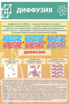 Стенд "Диффузия" - «globural.ru» - Мытищи