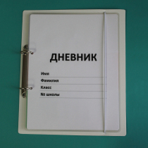 Дневник школьника (с полным набором карточек) - «globural.ru» - Мытищи