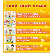 Стенд "Знай свои права" - «globural.ru» - Мытищи
