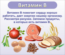 Стенд "Витамин В" - «globural.ru» - Мытищи