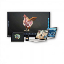 Интерактивное наглядное 3D пособие «Познание: Птицеводство» - «globural.ru» - Мытищи