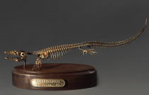 Модель скелета мозазавра Mosasaurus - «globural.ru» - Мытищи