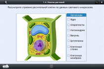 Интерактивные курсы. Биология 9 класс. Базовый - «globural.ru» - Мытищи