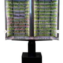 Вертикальная  ферма «Моя микрозелень» комплектация  «Театро настенная» - «globural.ru» - Мытищи