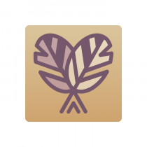 Тренажер-корректор зеркального письма “Почерк Леонардо” - «globural.ru» - Мытищи