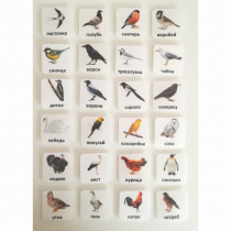 Набор карточек "ПТИЦЫ" - «globural.ru» - Мытищи