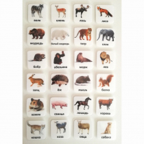 Набор карточек "ЖИВОТНЫЕ" - «globural.ru» - Мытищи