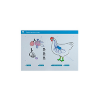 Стенд-планшет светодинамический "Изучение органов дыхания сельскохозяйственных животных" со сменными панелями - «globural.ru» - Мытищи