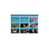 Стенд-планшет светодинамический "Изучение типических патологических процессов в организмах животных" - «globural.ru» - Мытищи