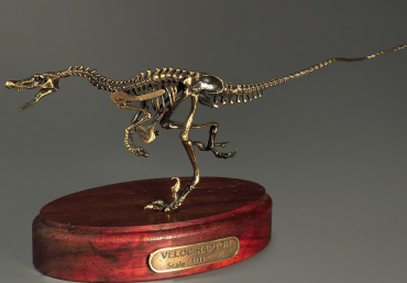 Модель скелета динозавра Velociraptor - «globural.ru» - Мытищи