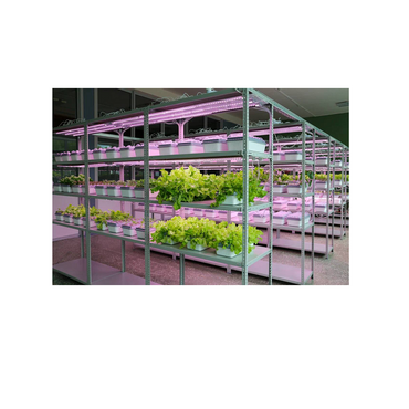 Обучающий комплект "АГРОкласс" - «globural.ru» - Мытищи