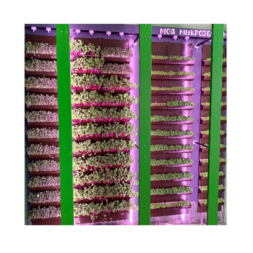 Вертикальная ферма "Моя Микрозелень" комплектация Школьная - «globural.ru» - Мытищи
