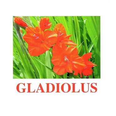 "Flowers-1" ("Цветы-1") английские карточки Домана - «globural.ru» - Мытищи