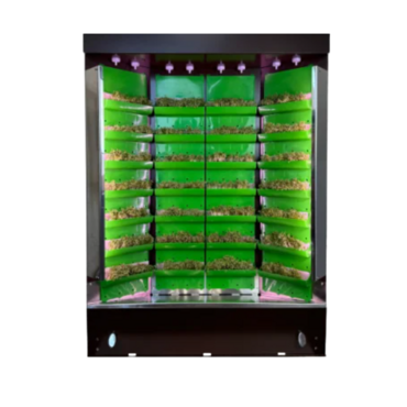 Вертикальная ферма "Моя Микрозелень" комплектация "Театро настольная" - «globural.ru» - Мытищи