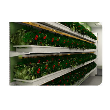 Стеллаж для выращивания клубники "Стена" - «globural.ru» - Мытищи