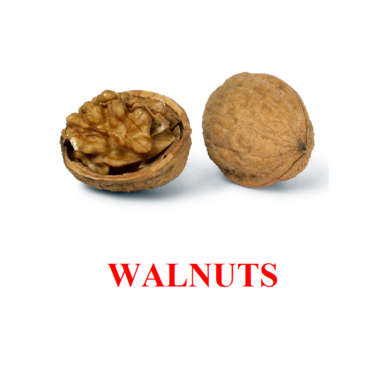 "Berries-Nuts-2" ("Ягоды-Орехи-2") английские карточки Домана - «globural.ru» - Мытищи