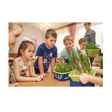 Обучающий комплект экологической направленности "Сити-фермер 2.0 Детский сад" 20 человек - «globural.ru» - Мытищи