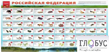 Стенд "Красная книга РФ" - «globural.ru» - Мытищи